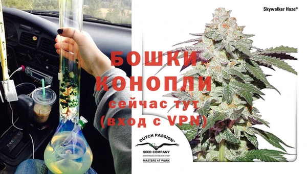спиды Семёнов