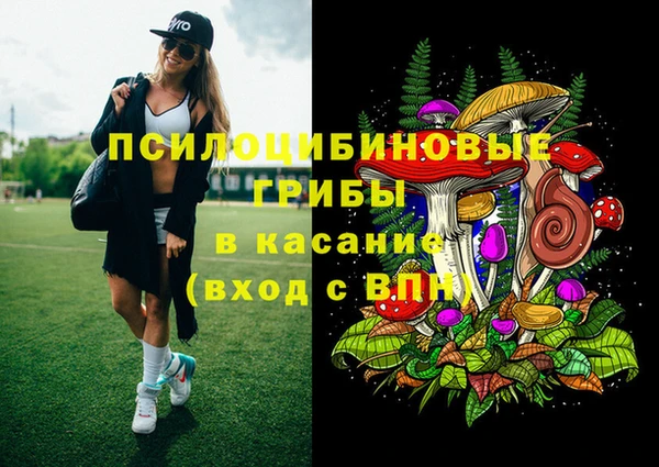 дмт Семилуки