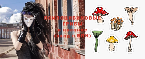 таблы Дрезна
